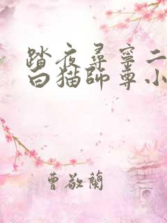 踏夜寻宁二哈和白猫师尊小说