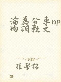 沦为公车np纯肉调教文
