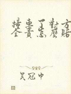 撞车了对方逃逸全责怎么赔
