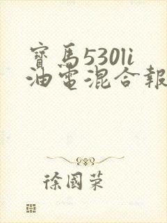 宝马530li油电混合报价