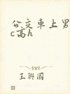 公交车上男男被c高h