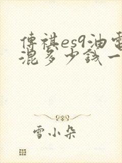 传祺es9油电混多少钱一台