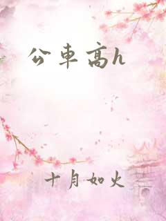 公车高h