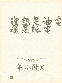 理想是油电混合还是纯电