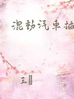 混动汽车插电