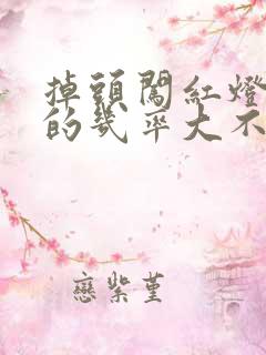 掉头闯红灯被拍的几率大不大