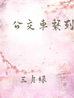 公交车系列爽文