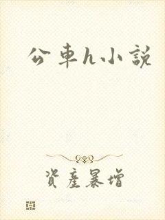 公车h小说