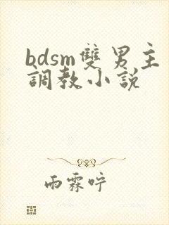 bdsm双男主调教小说