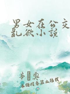 男女在公交车上乱欲小说