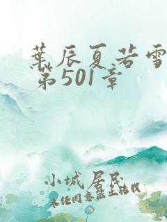 叶辰夏若雪孙怡 第501章