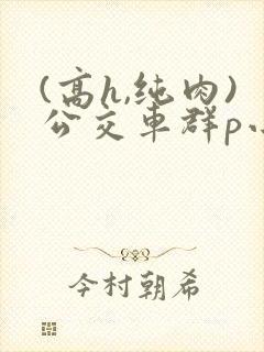 (高h,纯肉)公交车群p小说