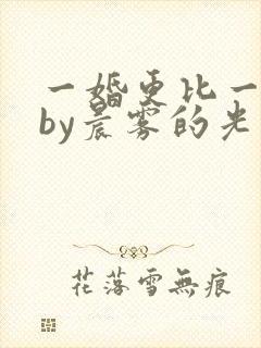 一婚更比一婚高by晨雾的光