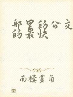 哪里的公交车开的最快