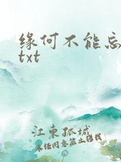 缘何不能忘记你txt