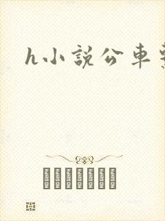 h小说公车系列