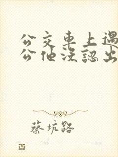 公交车上遇到公公他没认出我小说