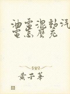 油电混动汽车充电怎么充