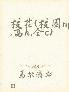 校花(校园np,高h,全c)