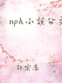nph小说公交