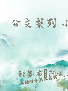 公交系列 小说