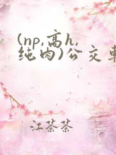 (np,高h,纯肉)公交车