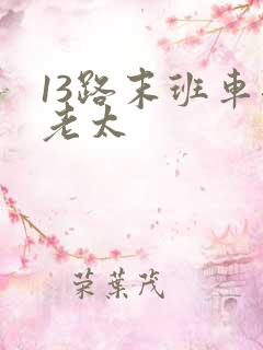 13路末班车邱老太