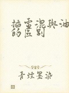 插电混与油电混的区别