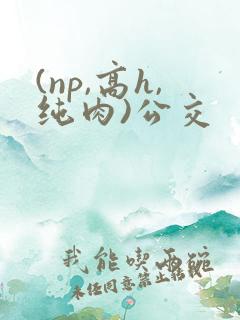 (np,高h,纯肉)公交