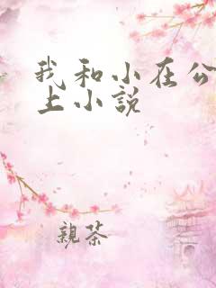 我和小在公交车上小说