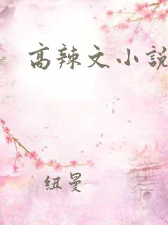 高辣文小说h