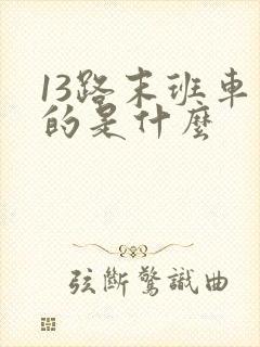 13路末班车讲的是什么
