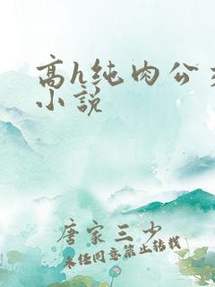 高h纯肉公交车小说