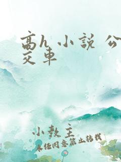高h 小说 公交车