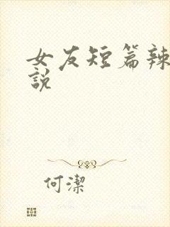 女友短篇辣文小说