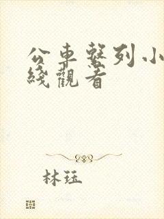 公车系列小说在线观看