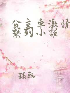 公交车激情肉欲系列小说