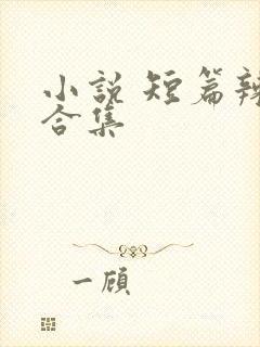 小说 短篇辣文合集