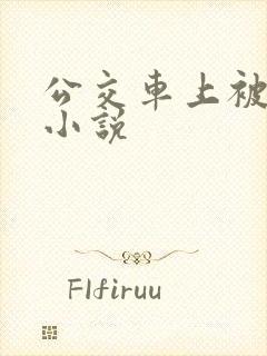 公交车上被摸的小说