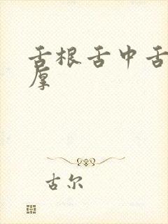 舌根舌中舌苔白厚