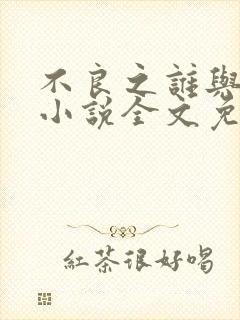 不良之谁与争锋小说全文免费阅读笔趣阁