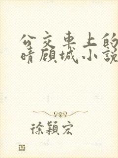 公交车上的诗请晴顾城小说