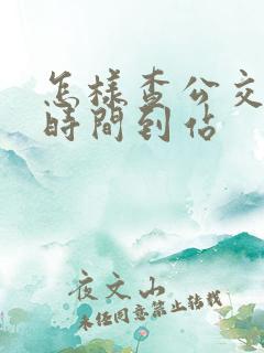 怎样查公交什么时间到站