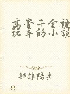 高贵千金被调教玩弄的小说