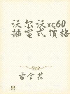 沃尔沃xc60插电式价格多少钱