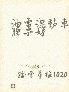 油电混动车什么牌子好