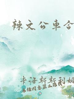 辣文公车合集