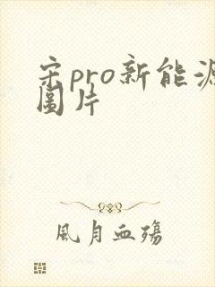 宋pro新能源图片