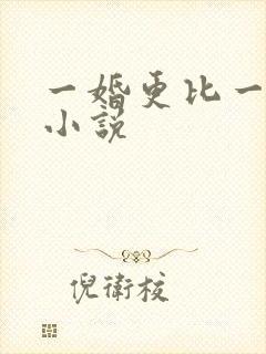 一婚更比一婚高小说