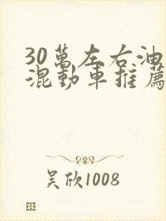 30万左右油电混动车推荐